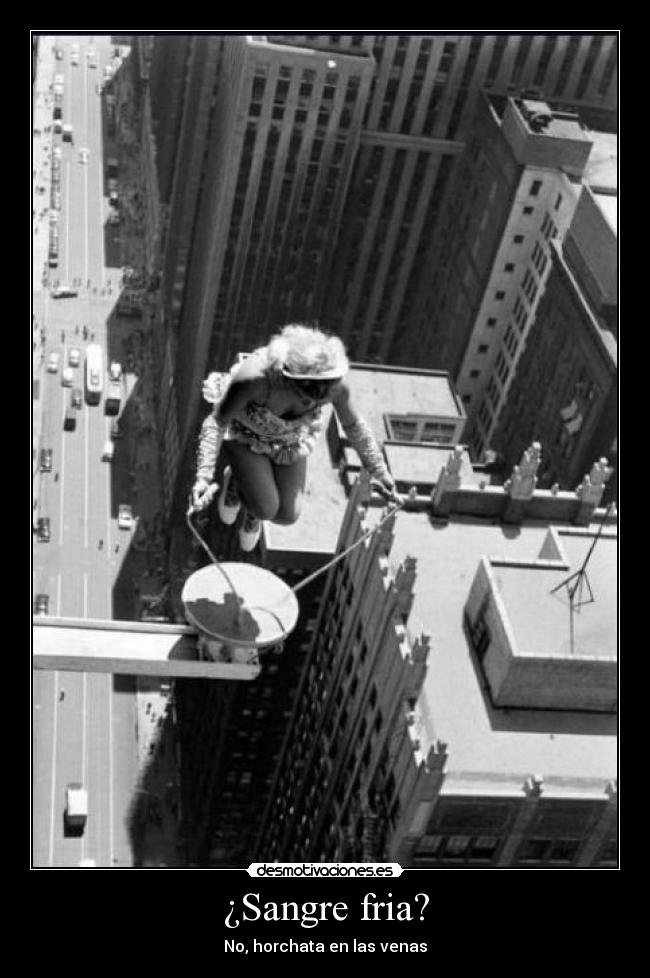 ¿Sangre fria? -