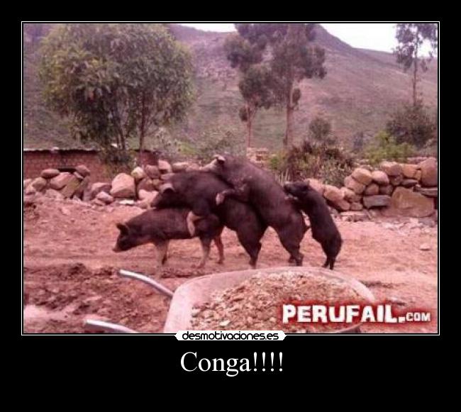 Conga!!!! - 