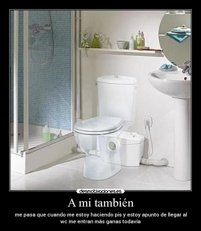 carteles trabuqito desmotivaciones