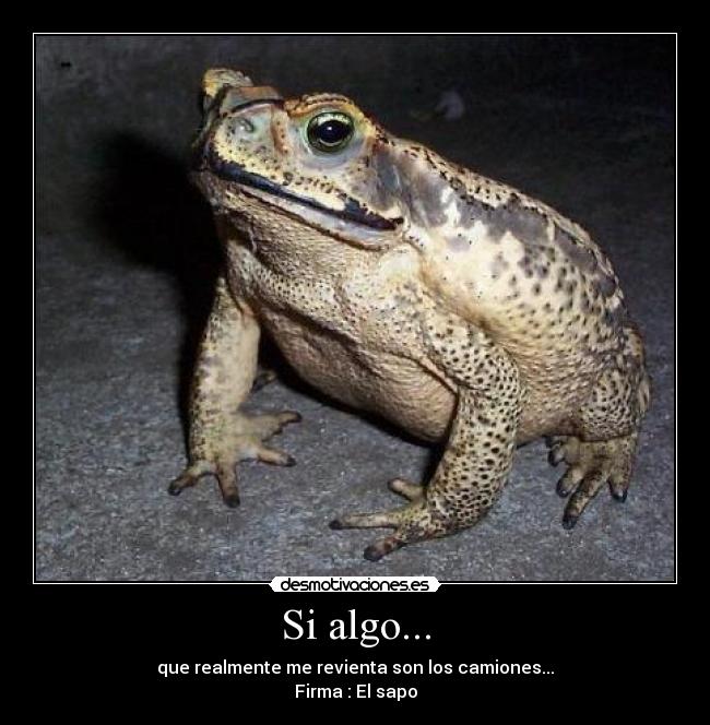 carteles eeec desmotivaciones