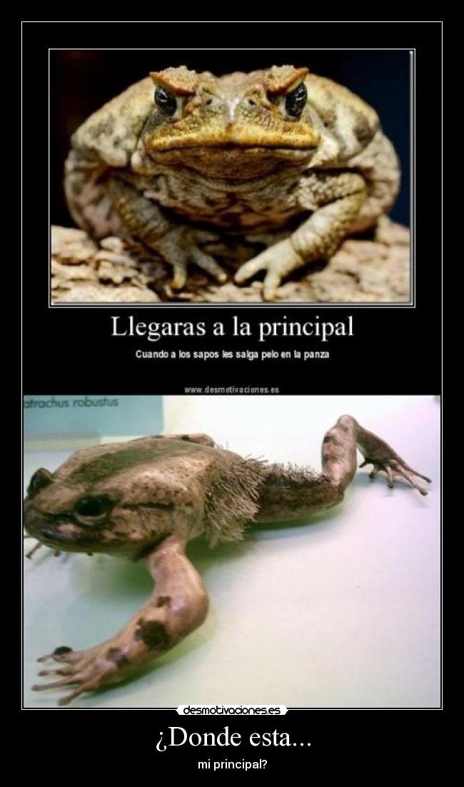 carteles 121 desmotivaciones