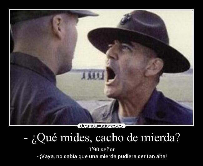 - ¿Qué mides, cacho de mierda? - 190 señor
- ¡Vaya, no sabía que una mierda pudiera ser tan alta!