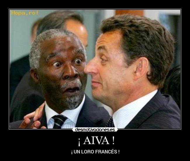 ¡ AIVA ! - ¡ UN LORO FRANCÉS !