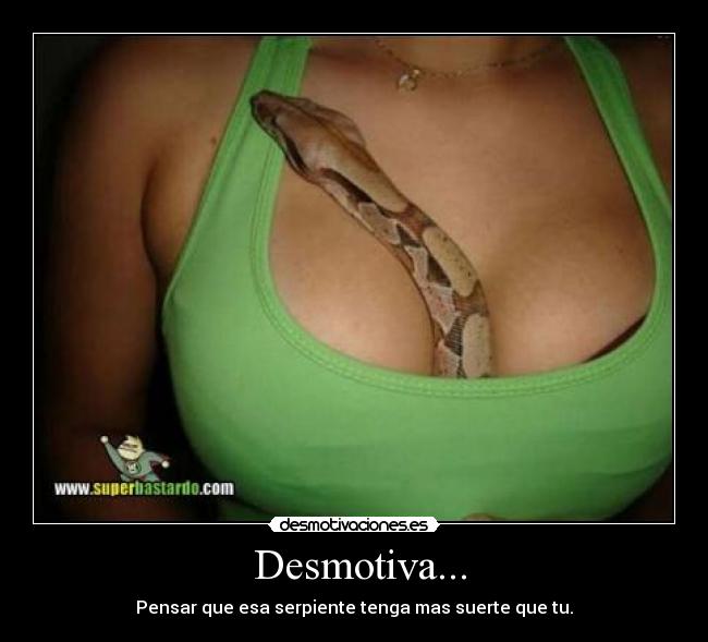  Desmotiva... - 