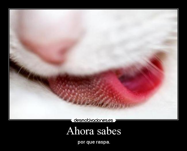Ahora sabes - por que raspa.