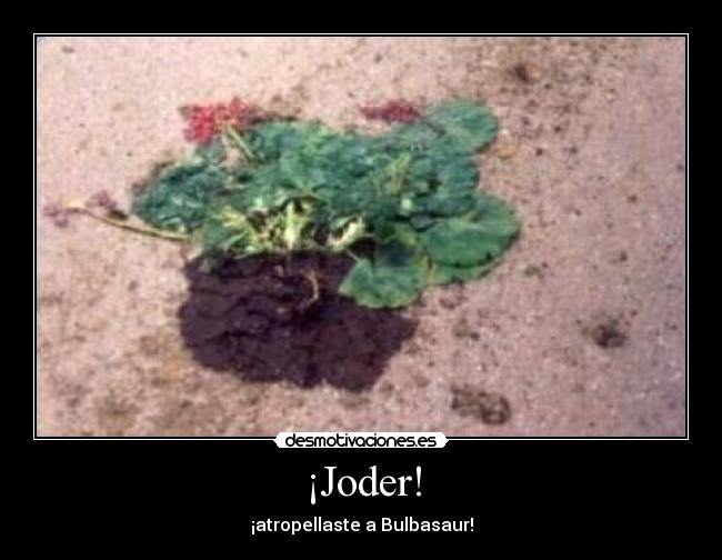 ¡Joder! - 