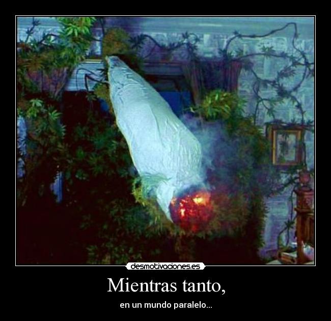 Mientras tanto, - en un mundo paralelo...