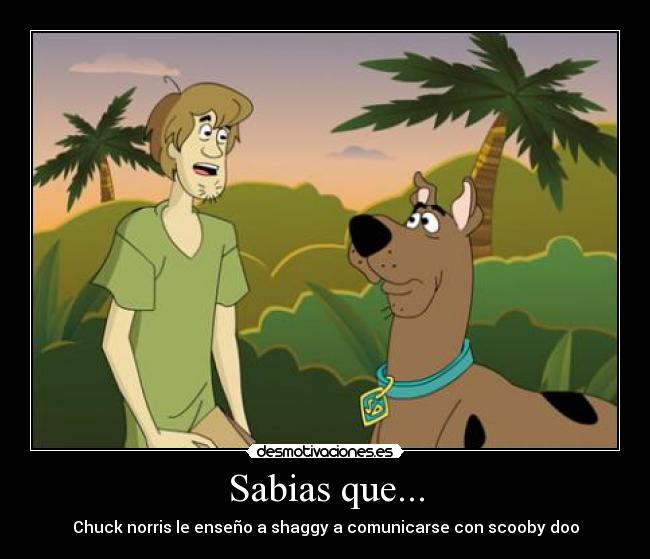Sabias que... - 