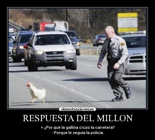 RESPUESTA DEL MILLON - + ¿Por qué la gallina cruzo la carretera?
- Porque le seguía la policia.