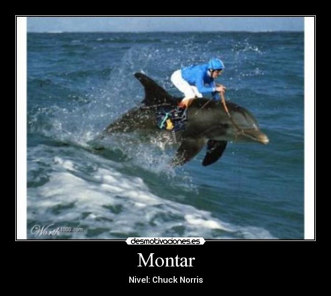 Montar - Nivel: Chuck Norris
