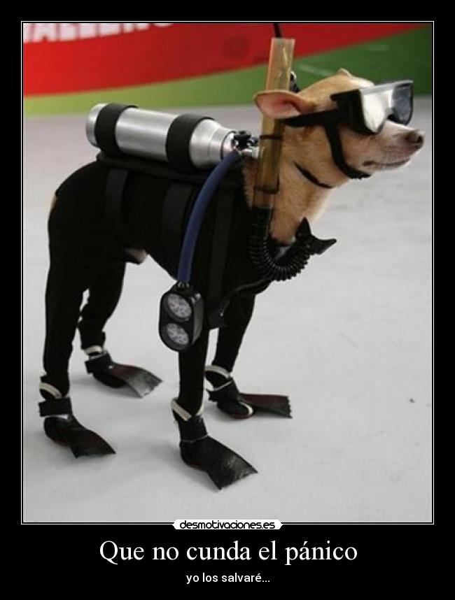 Que no cunda el pánico -