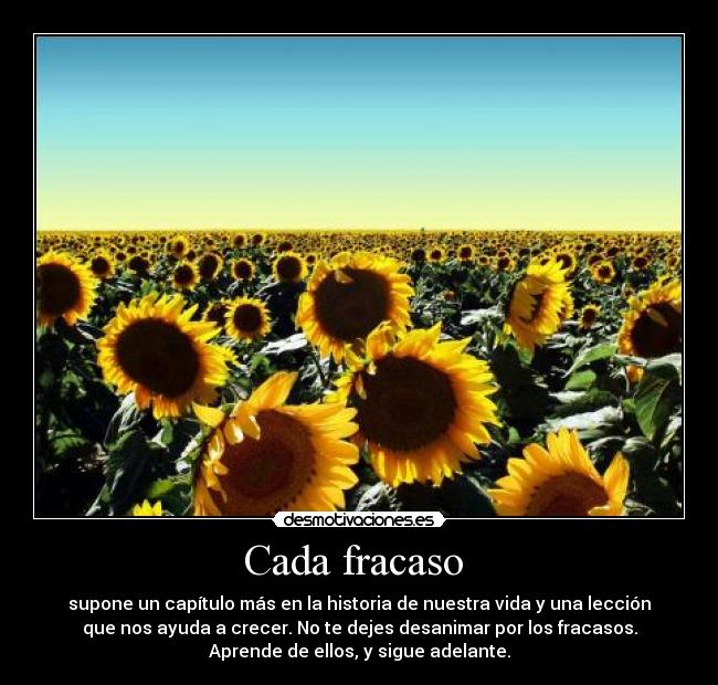Cada fracaso - supone un capítulo más en la historia de nuestra vida y una lección
que nos ayuda a crecer. No te dejes desanimar por los fracasos.
Aprende de ellos, y sigue adelante.
