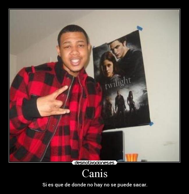 Canis - Si es que de donde no hay no se puede sacar.