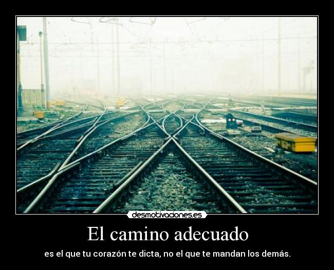 El camino adecuado -