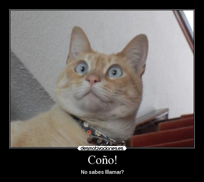 Coño! - 