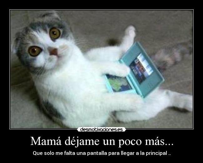 Mamá déjame un poco más... - Que solo me falta una pantalla para llegar a la principal ..