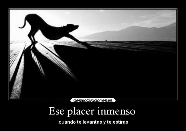 Ese placer inmenso  - 