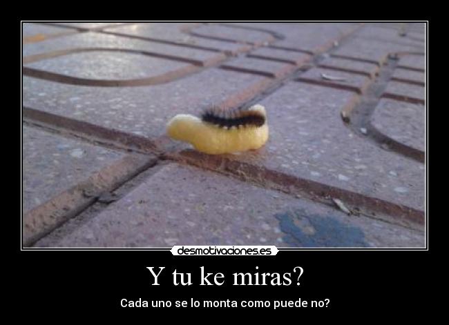 Y tu ke miras? - 