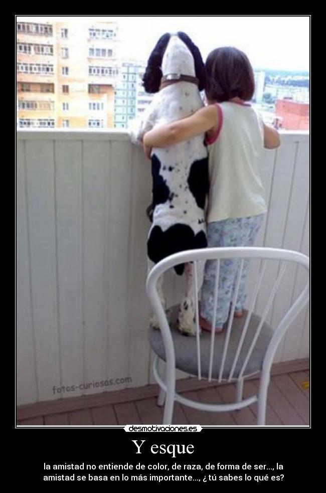 Y esque - la amistad no entiende de color, de raza, de forma de ser..., la
amistad se basa en lo más importante..., ¿ tú sabes lo qué es?