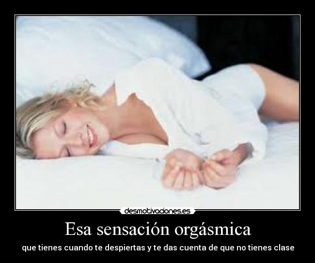 carteles dispot desmotivaciones