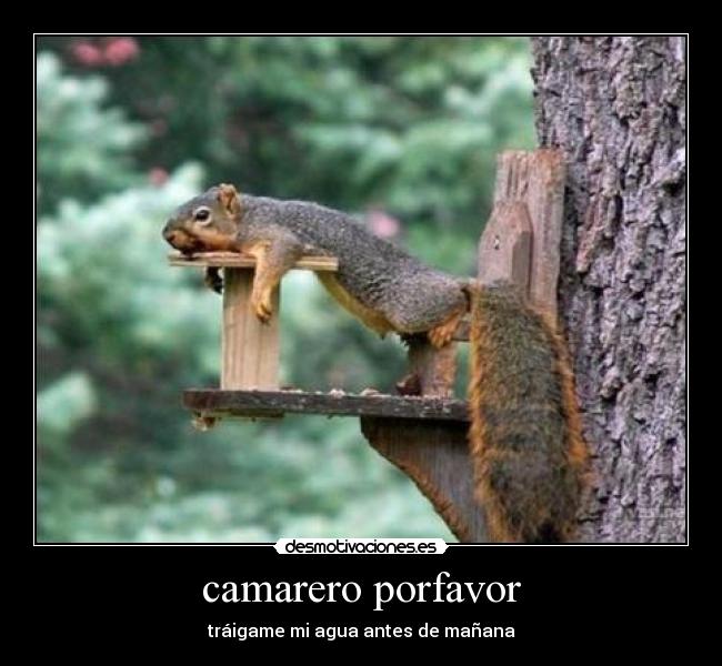 camarero porfavor -