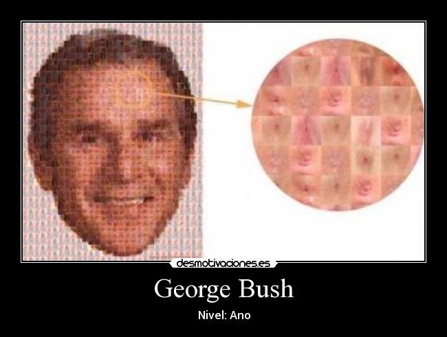 George Bush -