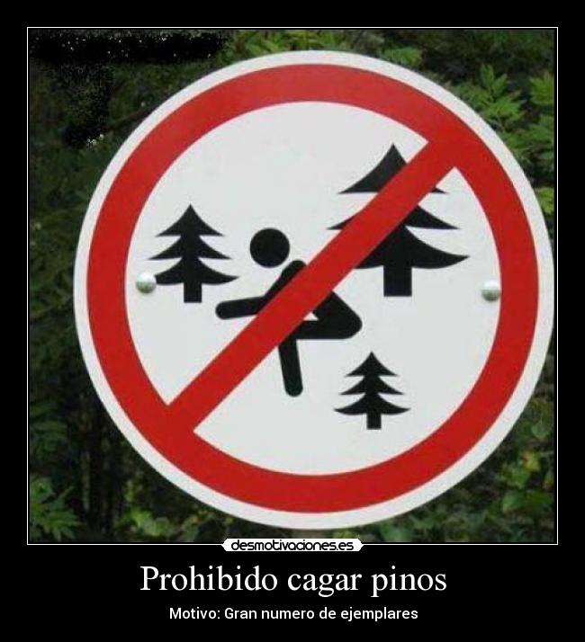 Prohibido cagar pinos -