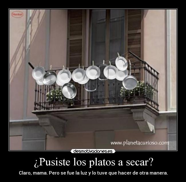 ¿Pusiste los platos a secar? - 