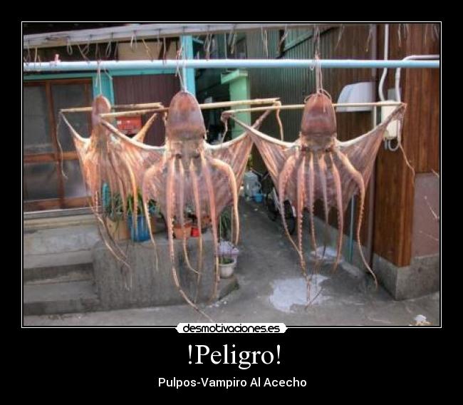 !Peligro! - 