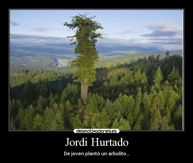 Jordi Hurtado - De joven plantó un arbolito...