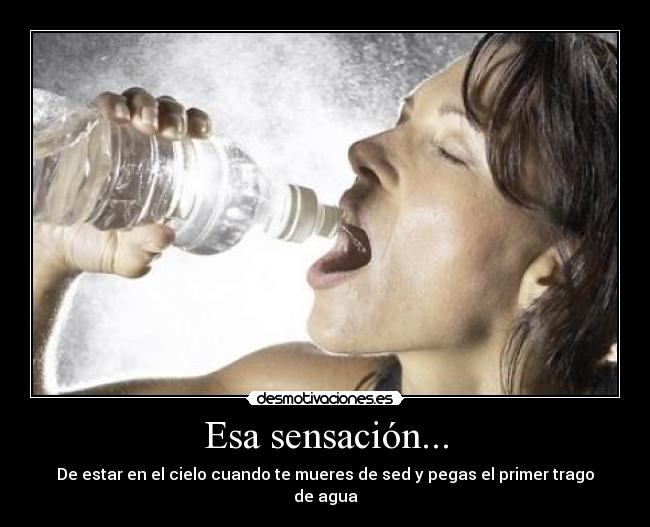 Esa sensación... - De estar en el cielo cuando te mueres de sed y pegas el primer trago de agua