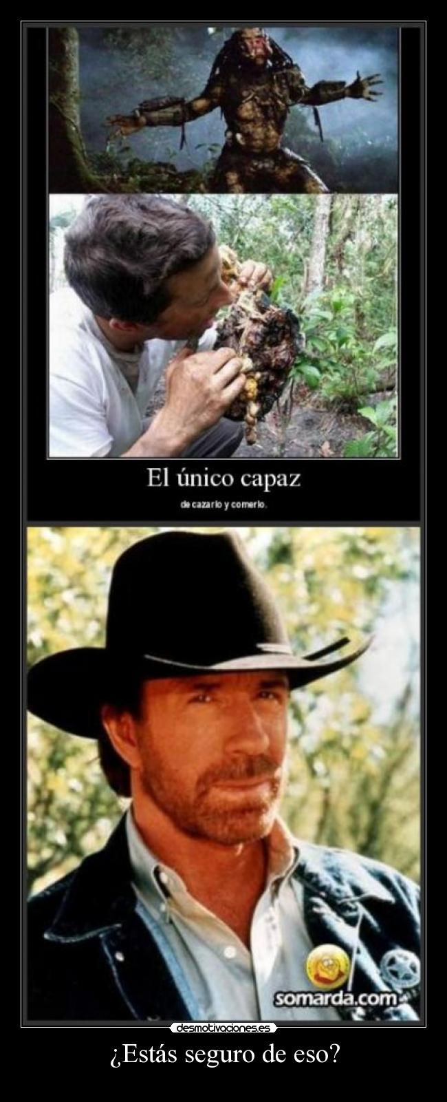 ¿Estás seguro de eso? -