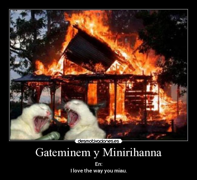 Gateminem y Minirihanna - En:
I love the way you miau.