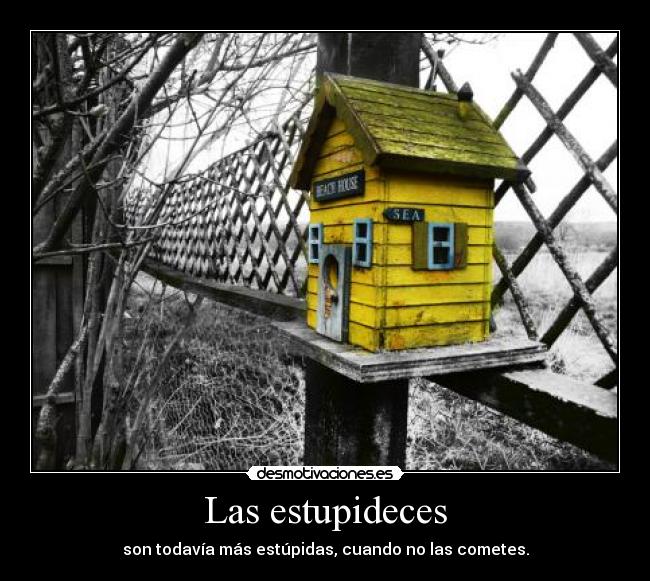 Las estupideces -