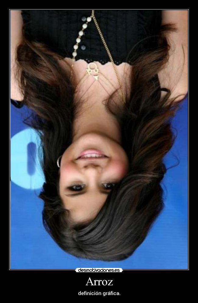 Arroz - definición gráfica.