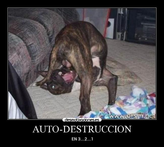AUTO-DESTRUCCION -