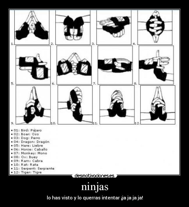 ninjas - lo has visto y lo querras intentar ¡ja ja ja ja!