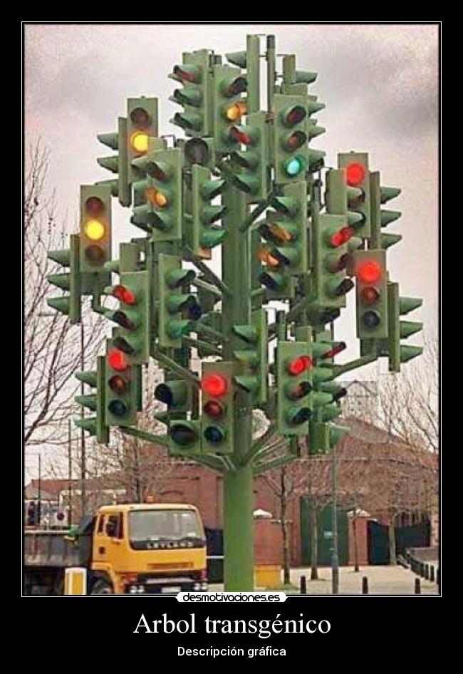 carteles transgenico desmotivaciones