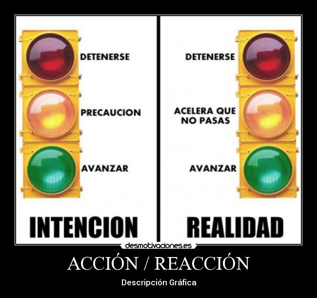 ACCIÓN / REACCIÓN -