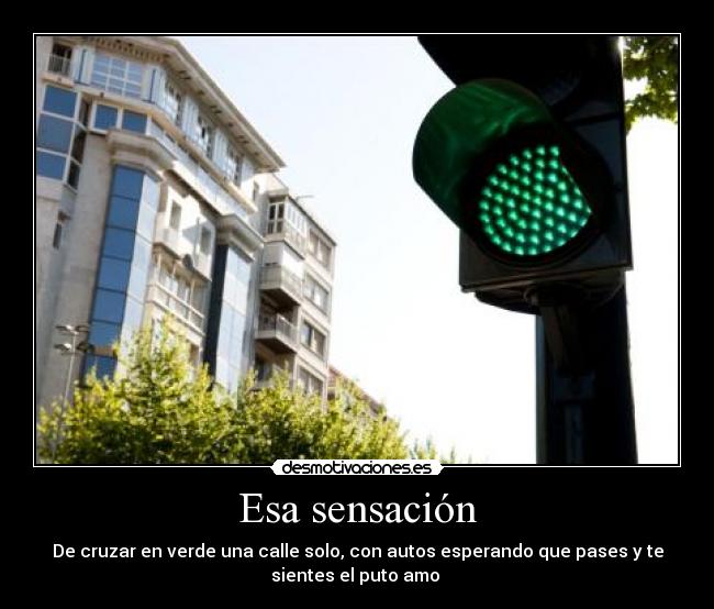 Esa sensación - De cruzar en verde una calle solo, con autos esperando que pases y te
sientes el puto amo 