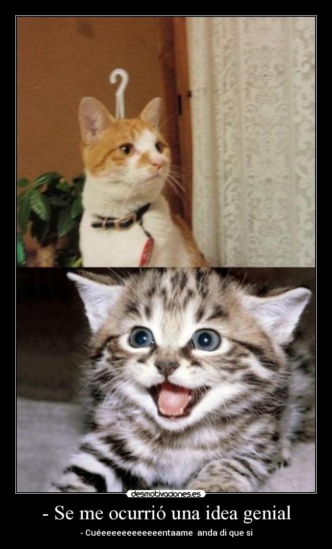 - Se me ocurrió una idea genial - 
