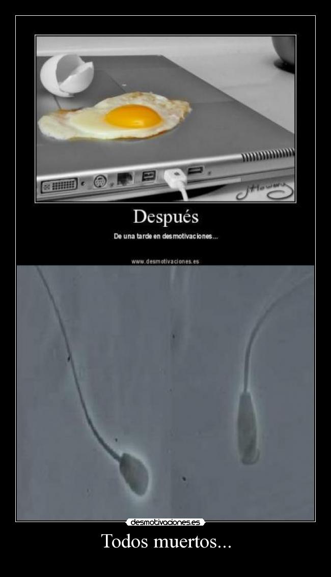 Todos muertos... - 
