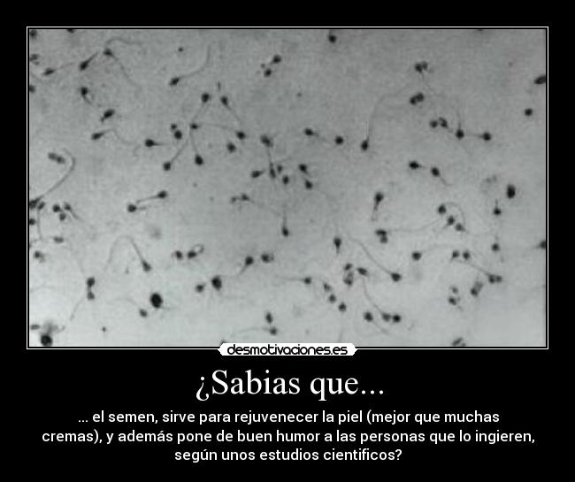 carteles semen desmotivaciones