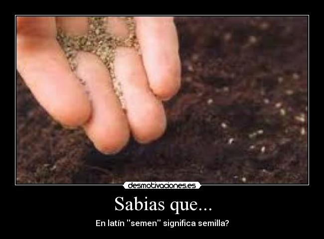 Sabias que... -