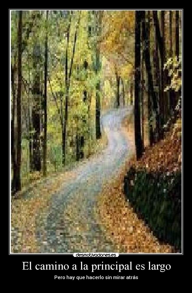 El camino a la principal es largo -