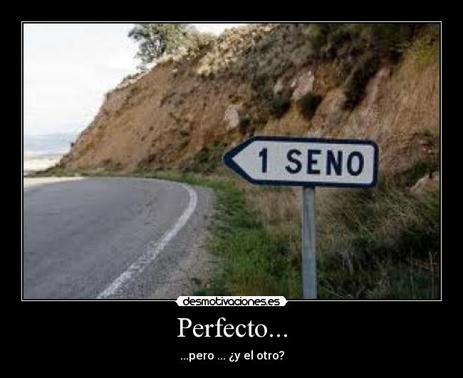 Perfecto... - ...pero ... ¿y el otro?
