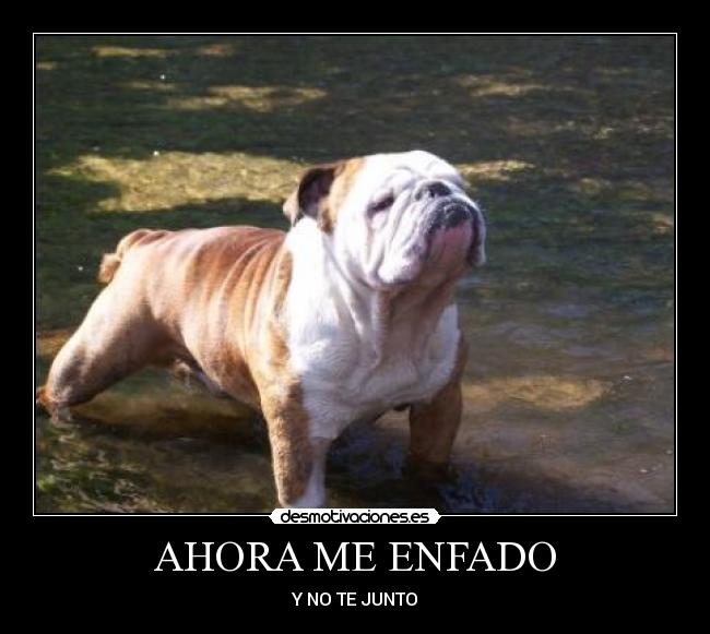 AHORA ME ENFADO -