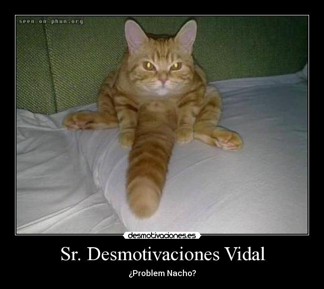 Sr. Desmotivaciones Vidal -