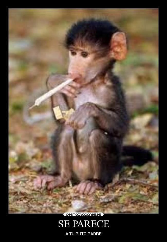 SE PARECE - A TU PUTO PADRE