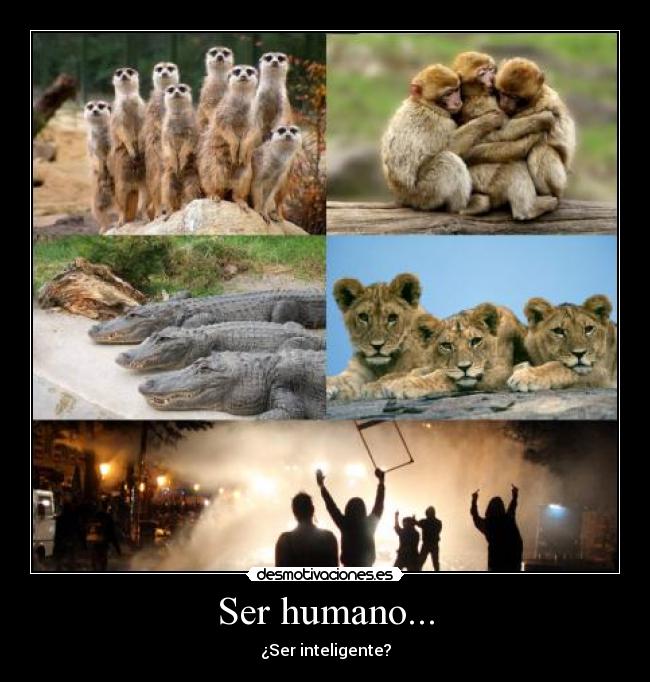 Ser humano... -